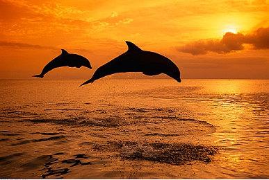 《山海旅人》DLC“夜行柳渡”正式发售 本体新史低促销